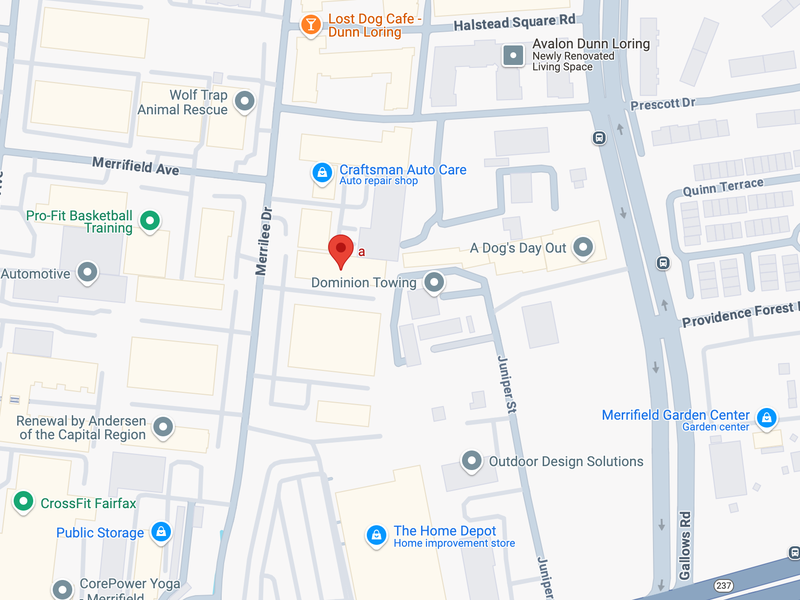 {{ NAME }}'s location in {{ LOCATION }}