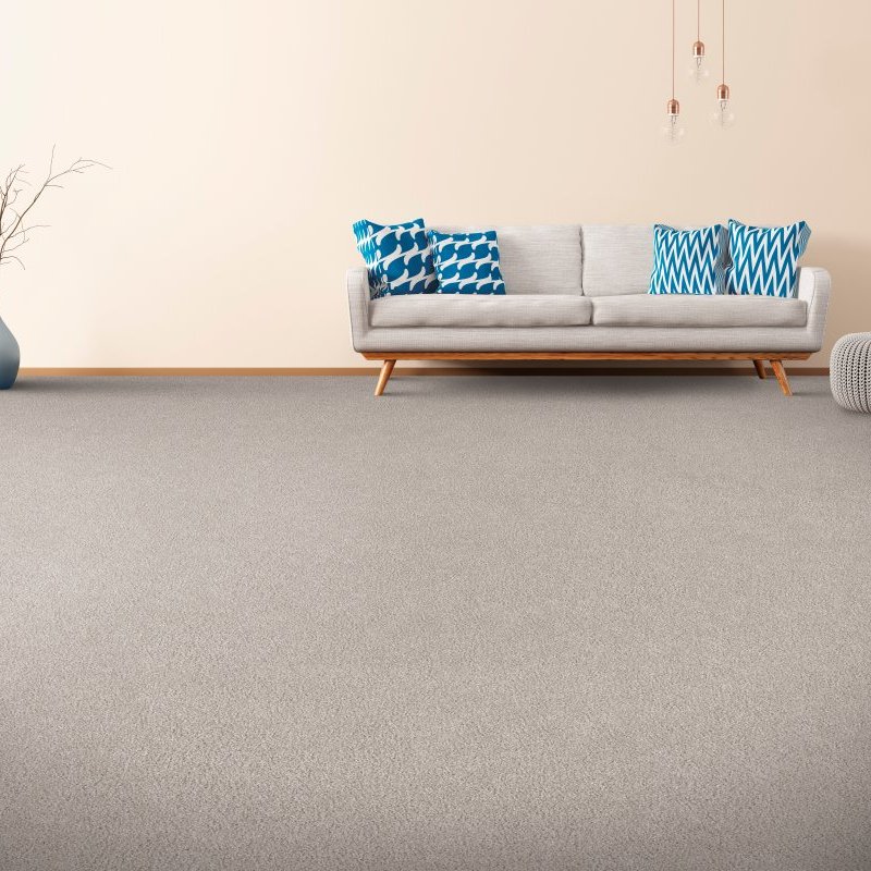 Carpet info at {{ NAME }} in {{ LOCATION }}