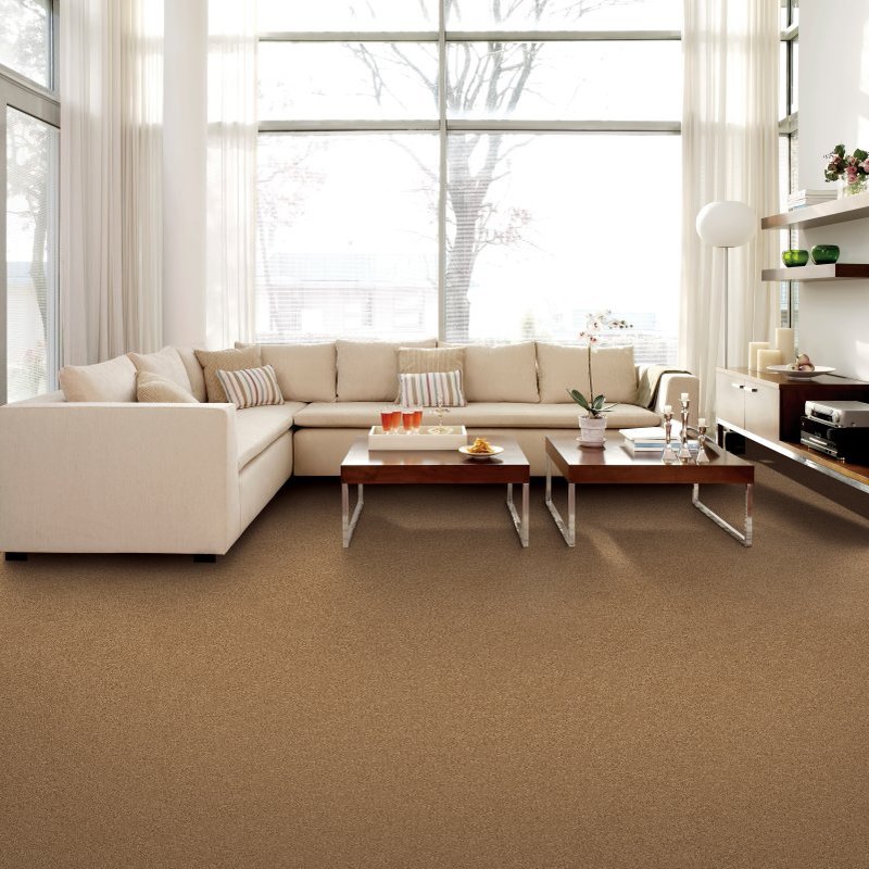 Providing stain-resistant pet proof carpet in Fairfax, VA at Fairfax Floors Inc.